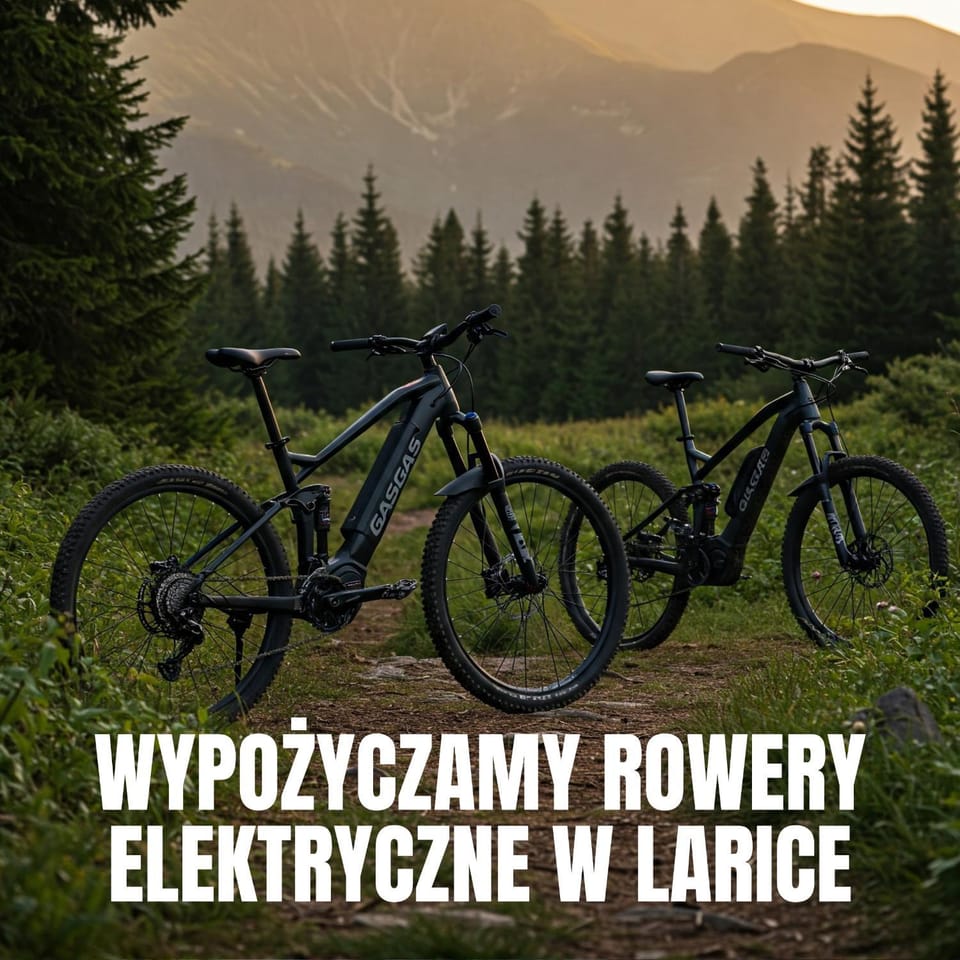 Apartament Larice VIP - sauna, balia, basen - całe piętro na wyłączność Apartment in Lower Silesian Voivodeship