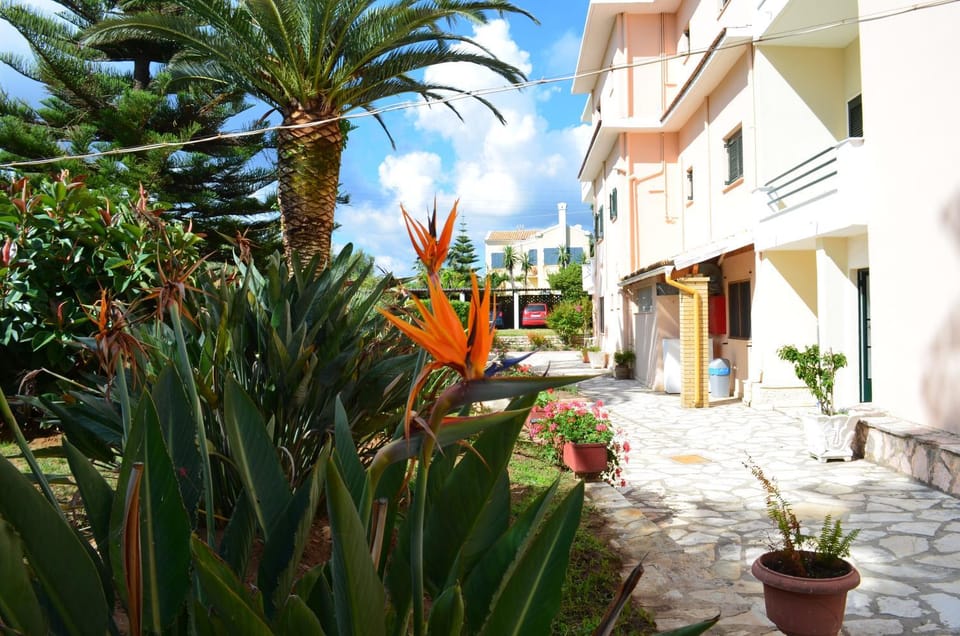 Property building, Garden, Garden view