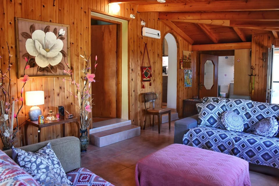 Living room, Photo of the whole room, Seating area