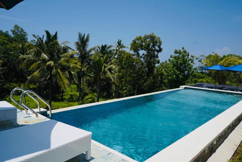 Pool view, Swimming pool, sunbed