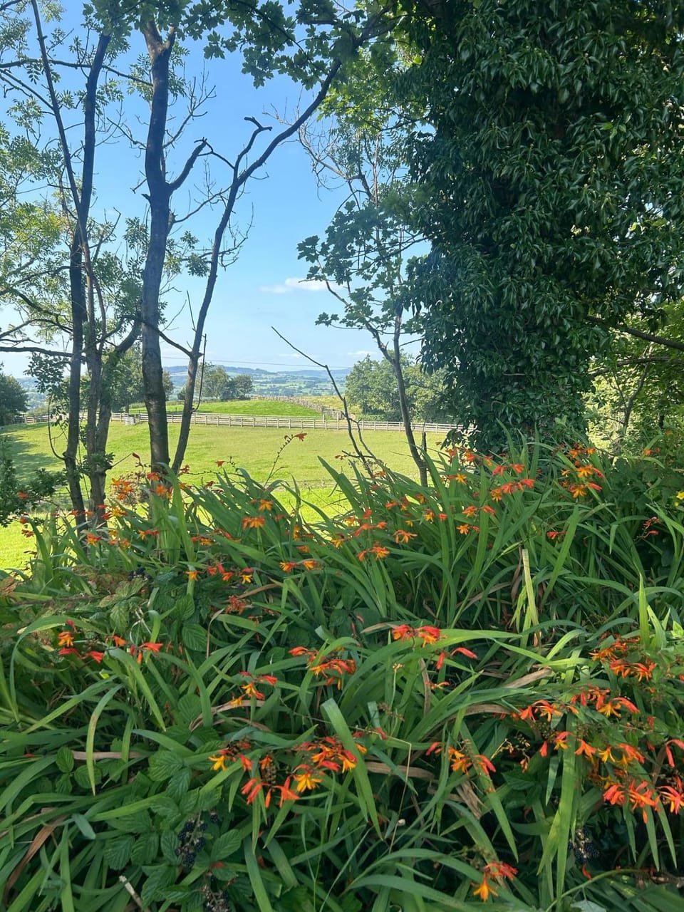 View (from property/room)