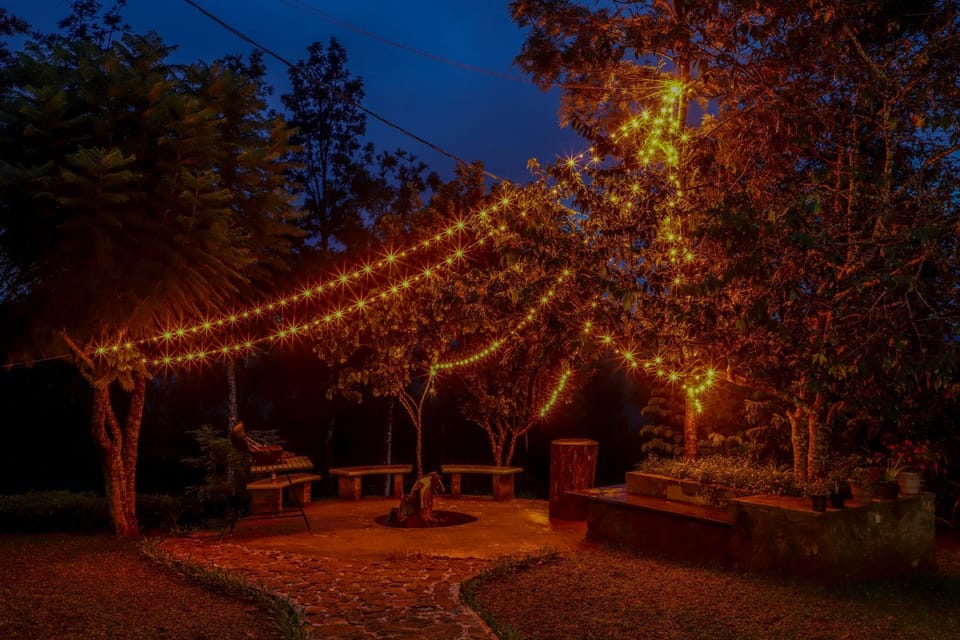 Night, Garden, Garden view