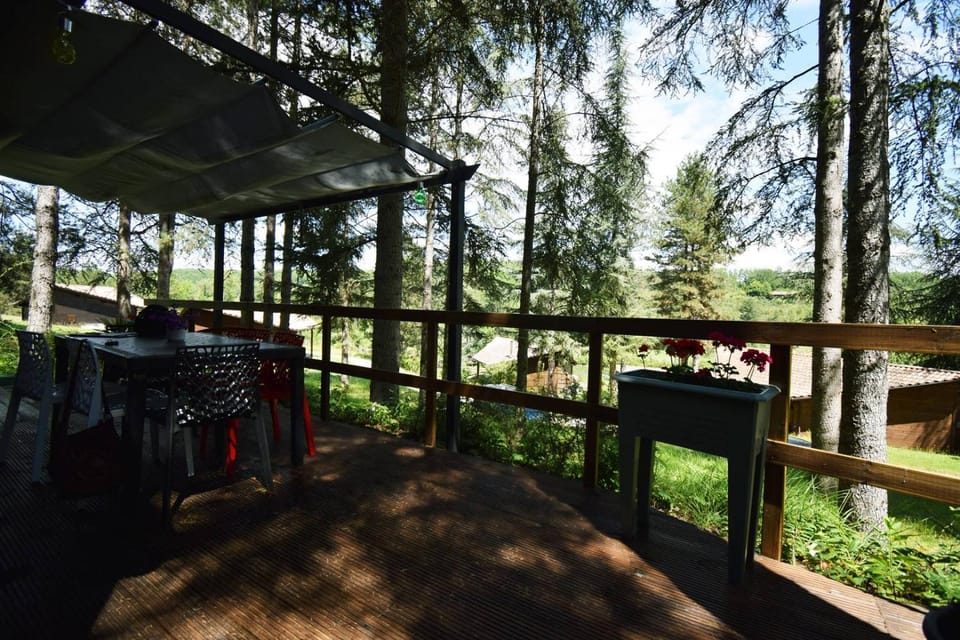 Natural landscape, Garden, Garden view