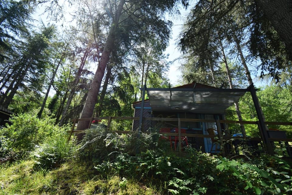 Property building, Natural landscape, Garden