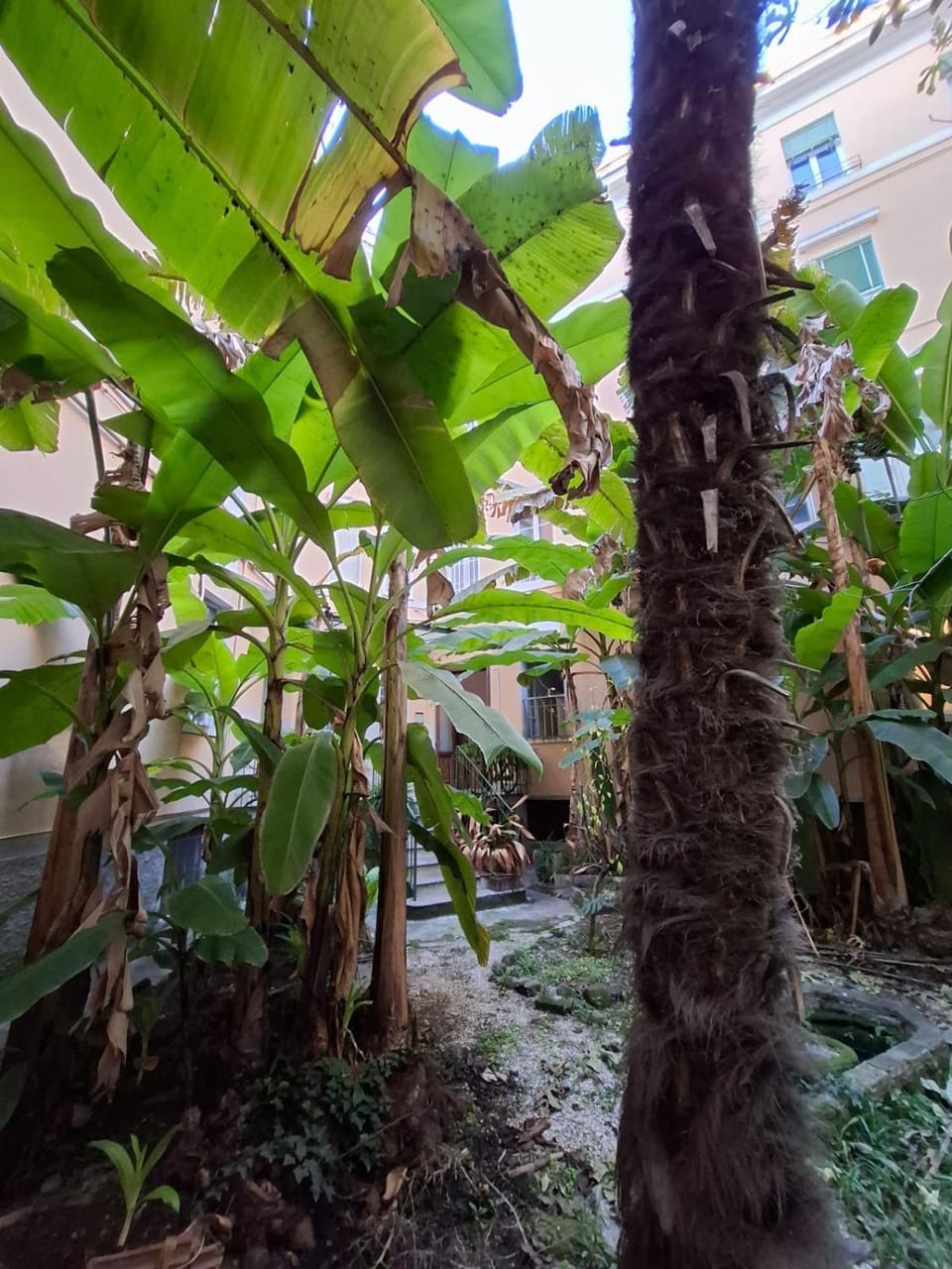 Inner courtyard view