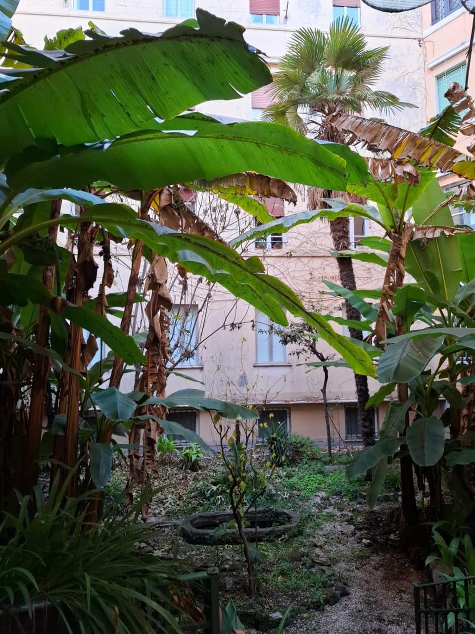 Inner courtyard view
