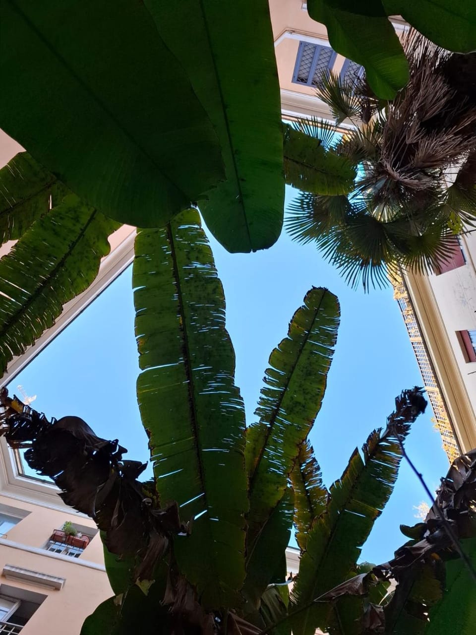 Inner courtyard view
