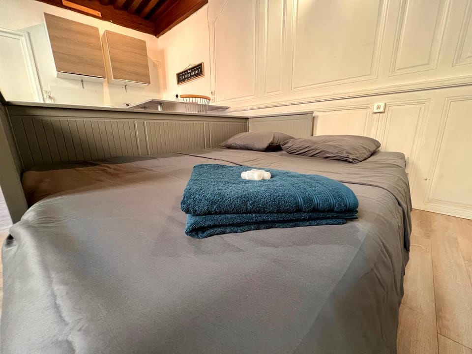 Appartement 2 prsn Au pied de la Citadelle Apartment in Besançon