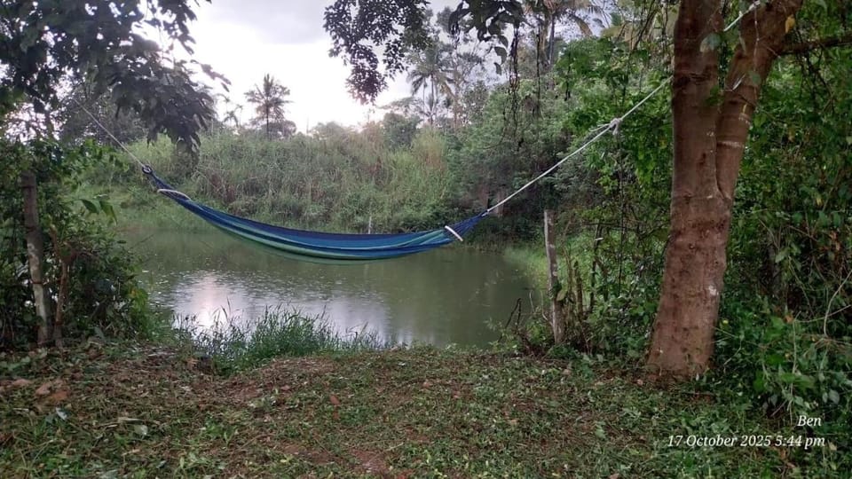 Lake view
