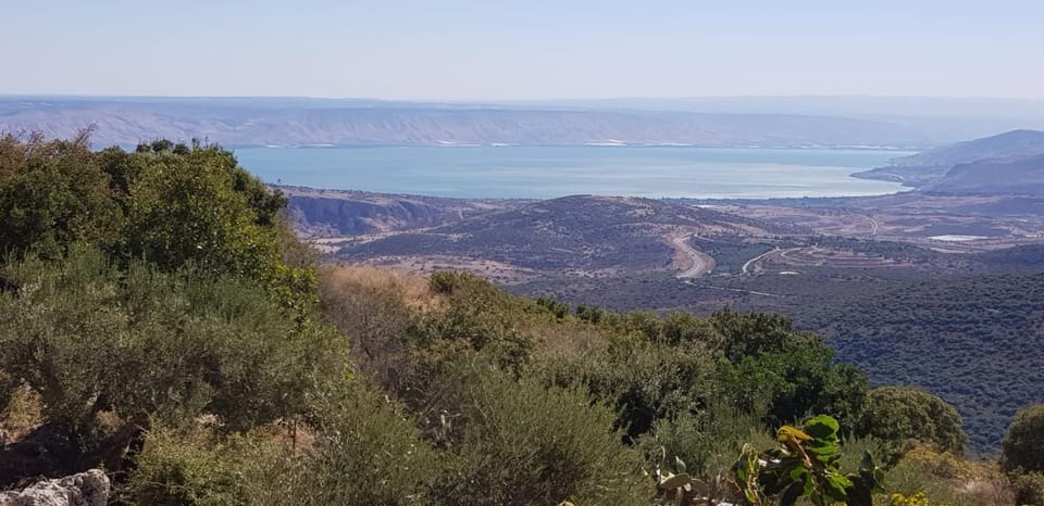 Lake view