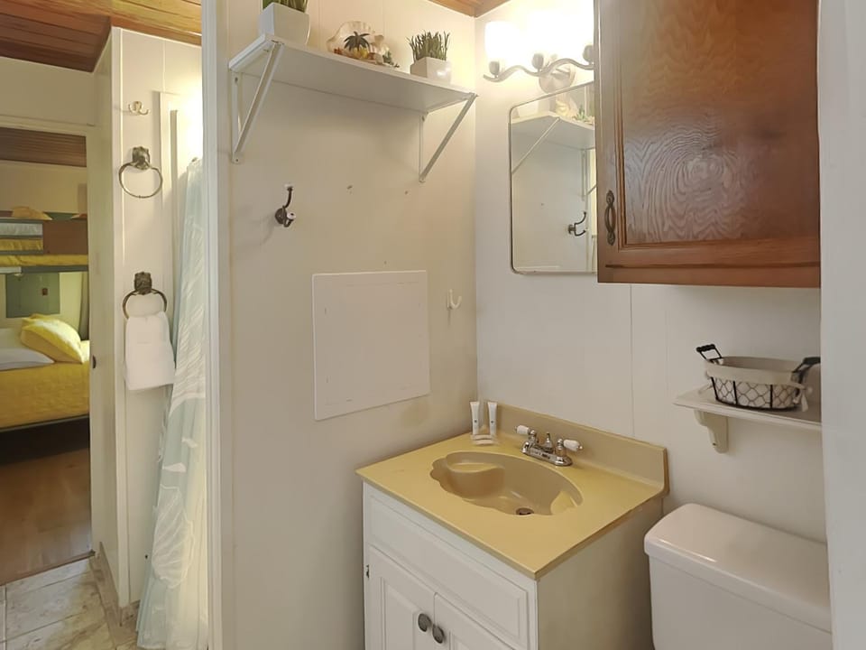 Toilet, Bathroom, hair dryier, towels
