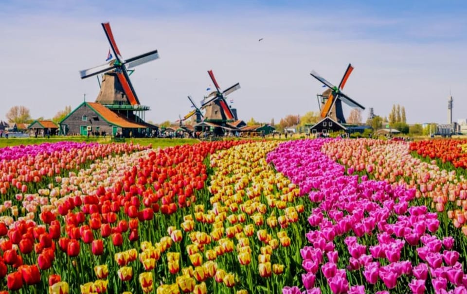 1-2 P Room near Airport AMS freeparking Vacation rental in South Holland (province)