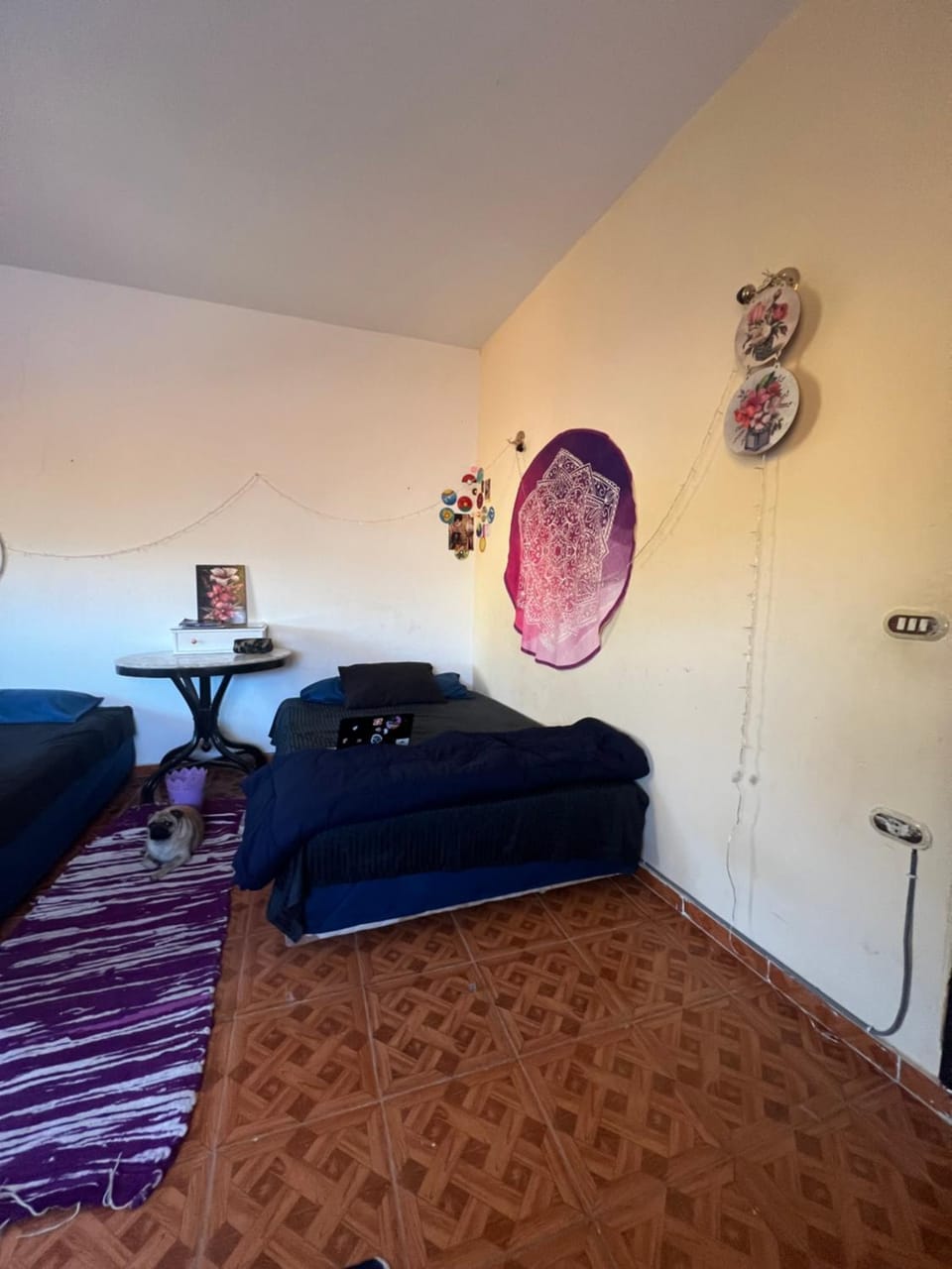 Sunny and cozy house Apartment in South Sinai Governorate