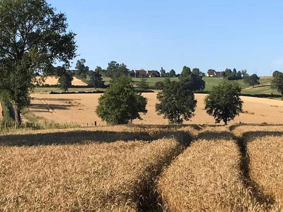 Summer, View (from property/room)