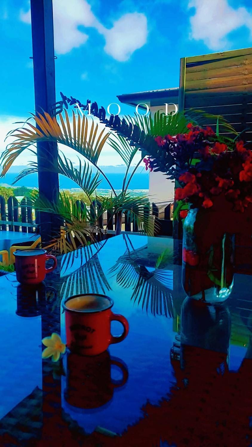 Au doux Tamarin des hauts Apartment in Réunion