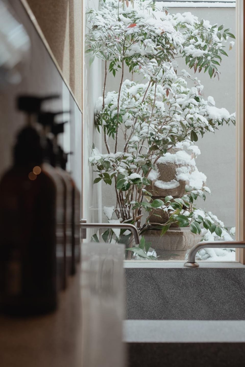 Shower, Garden view, Seasons, Bath