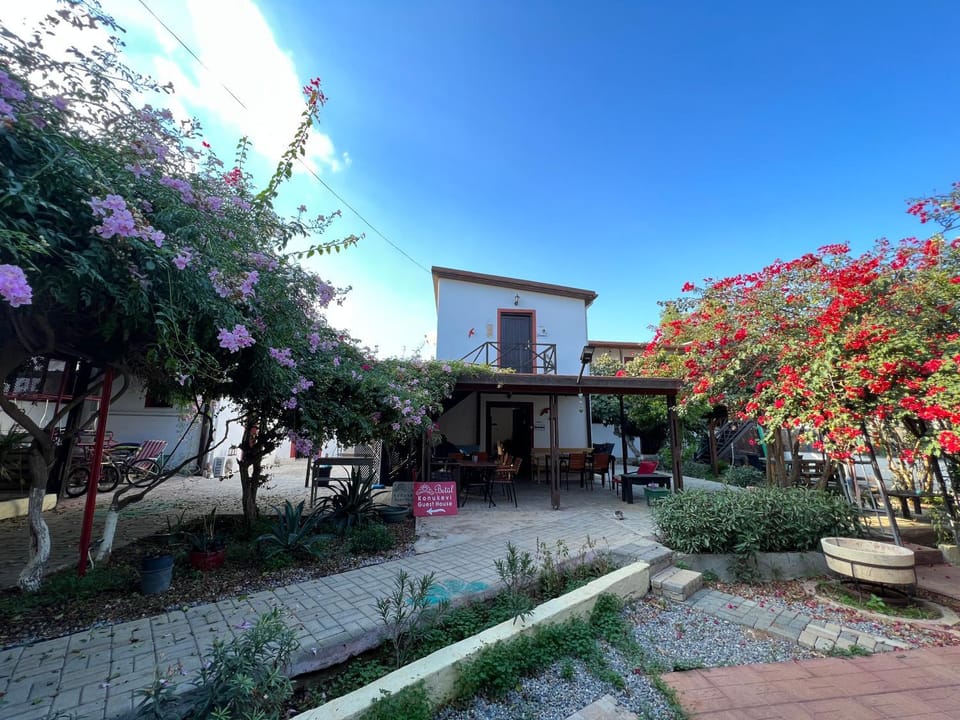 Patio, Garden, Garden view
