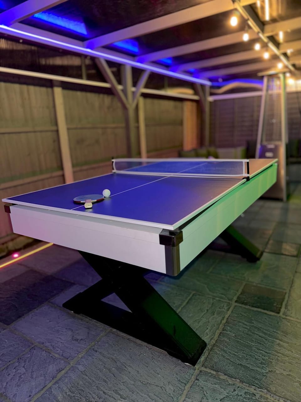 Table tennis, Table tennis