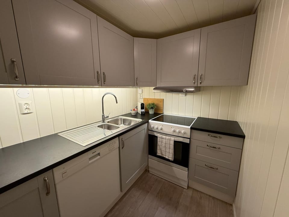 Kitchen or kitchenette, dishwasher, oven, stove