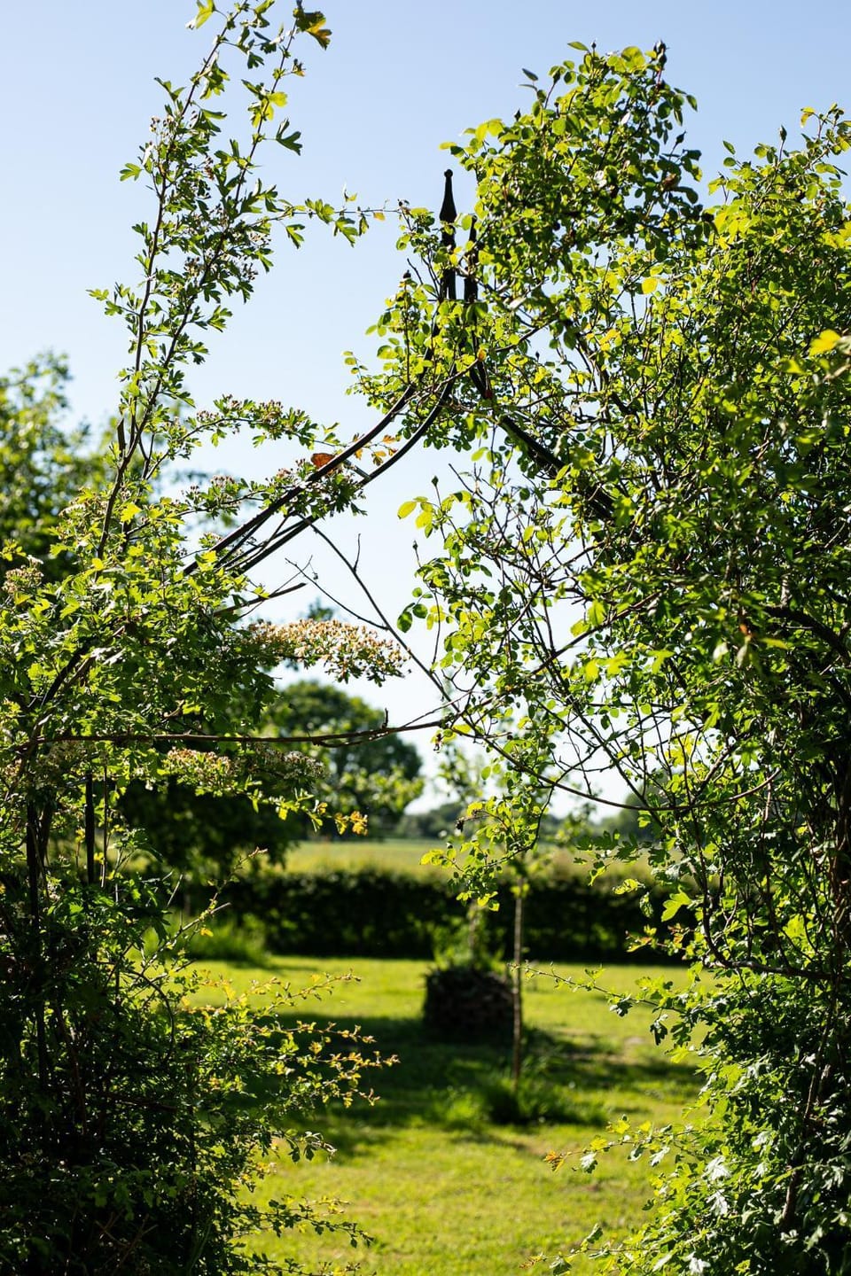 Natuurhuisje De kleine Varenhorst Campground/ 
RV Resort in Gelderland, Netherlands