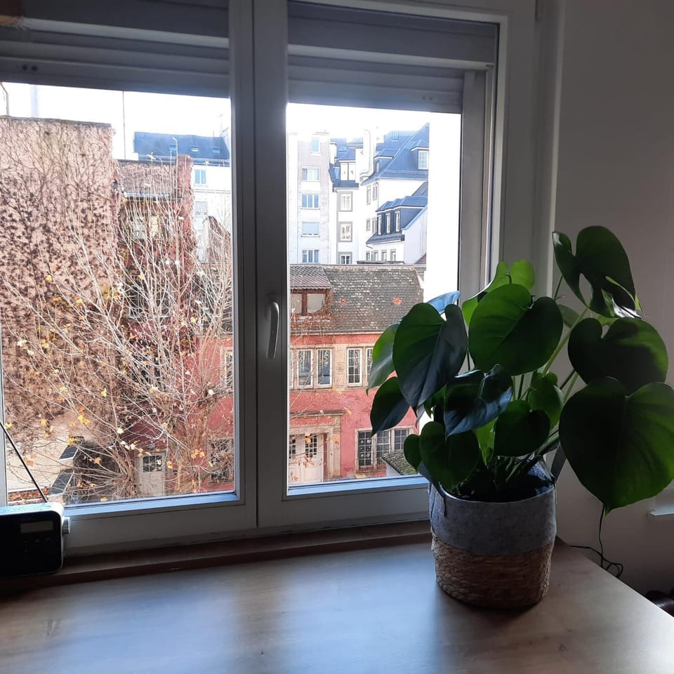 Hyper Centre- Hyper Calme Apartment in Strasbourg