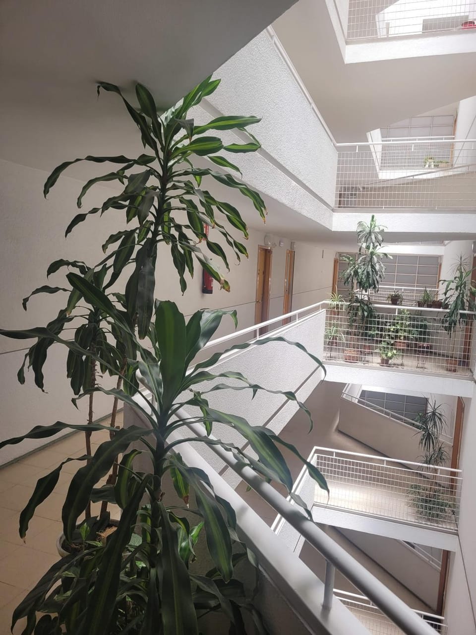 Habitaciones con vistas Madrid Bed and Breakfast in Madrid