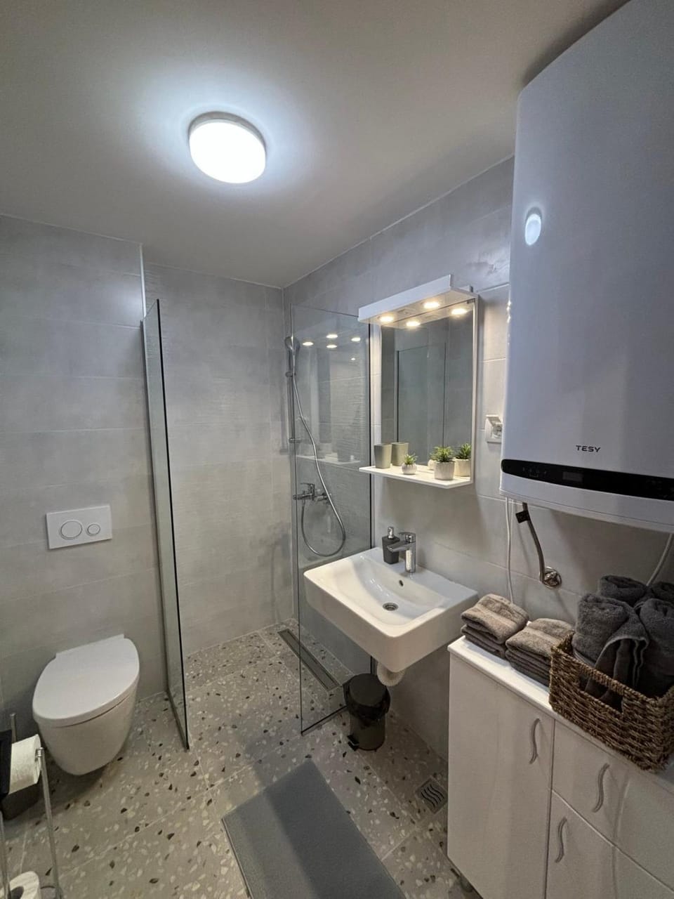 Shower, Toilet, Bathroom, towels