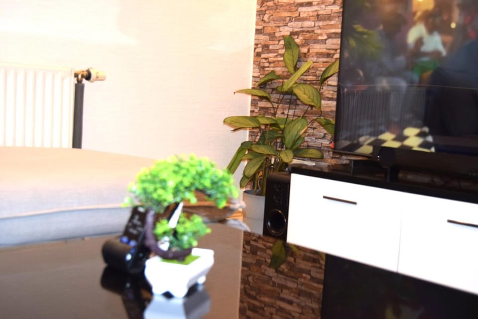 GraceHomes - 6 Zimmer Wohnung with parking - Up to 10 guests - Large group & family welcome Apartment in Baden-Württemberg