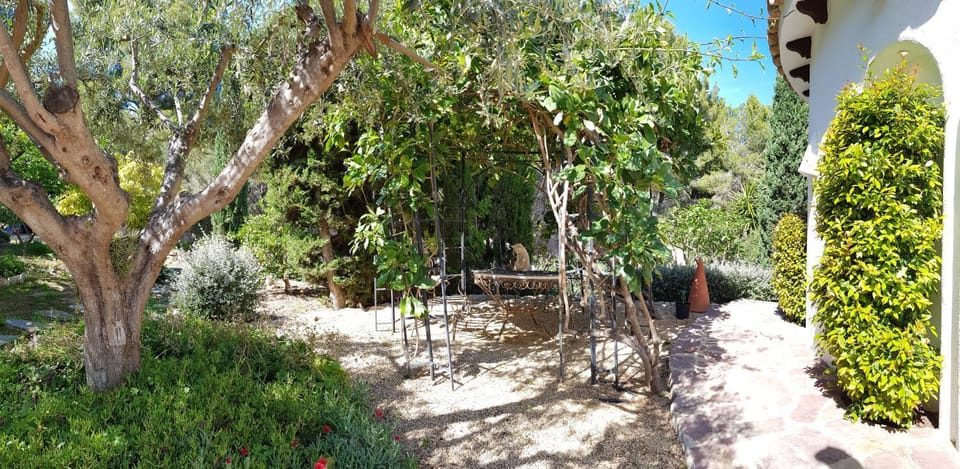 Garden, Garden, Garden view