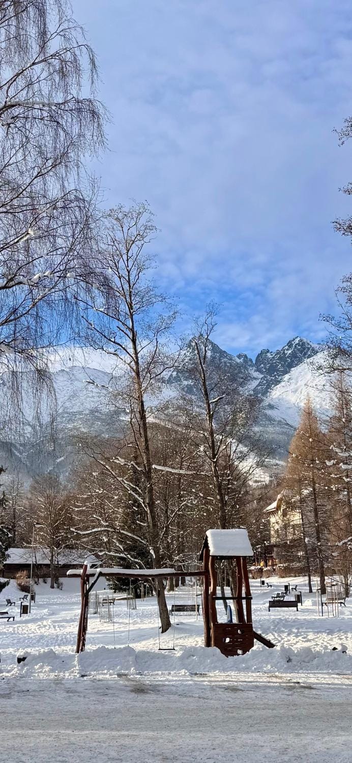 Winter