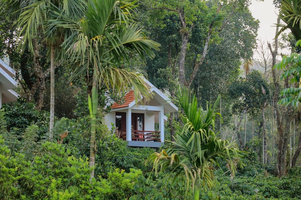 Property building, Mountain view, Mountain view