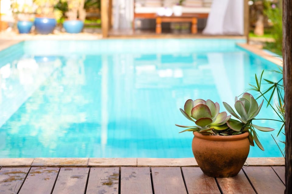 Swimming pool, Swimming pool