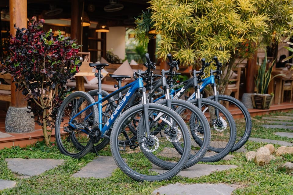 Day, Cycling