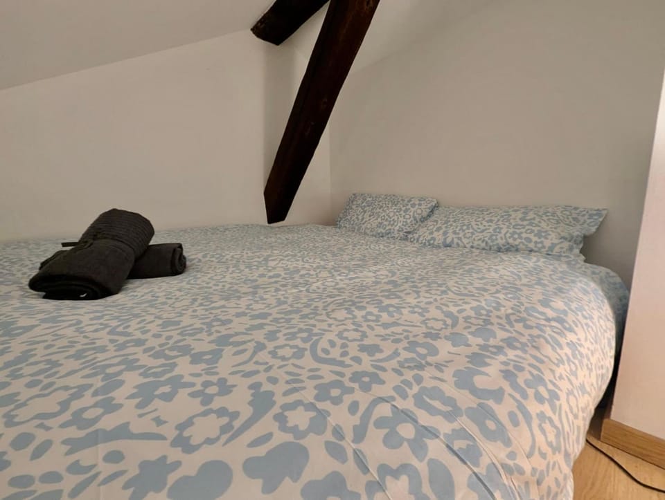 Studio Nouveau - Centre & Calme avec Wifi Apartment in Grenoble