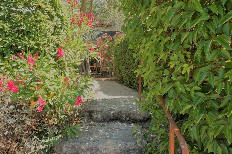 Facade/entrance, Garden