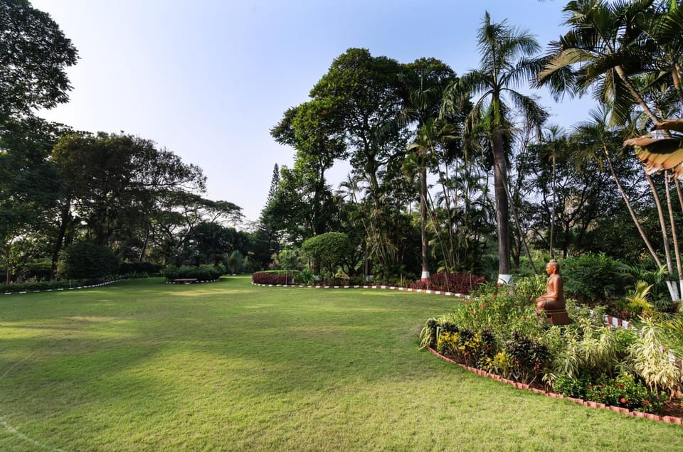 Day, Natural landscape, Garden, Garden, Garden view