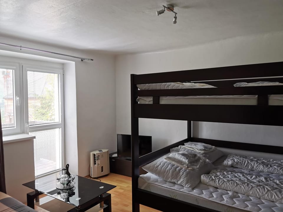 Living room, bunk bed