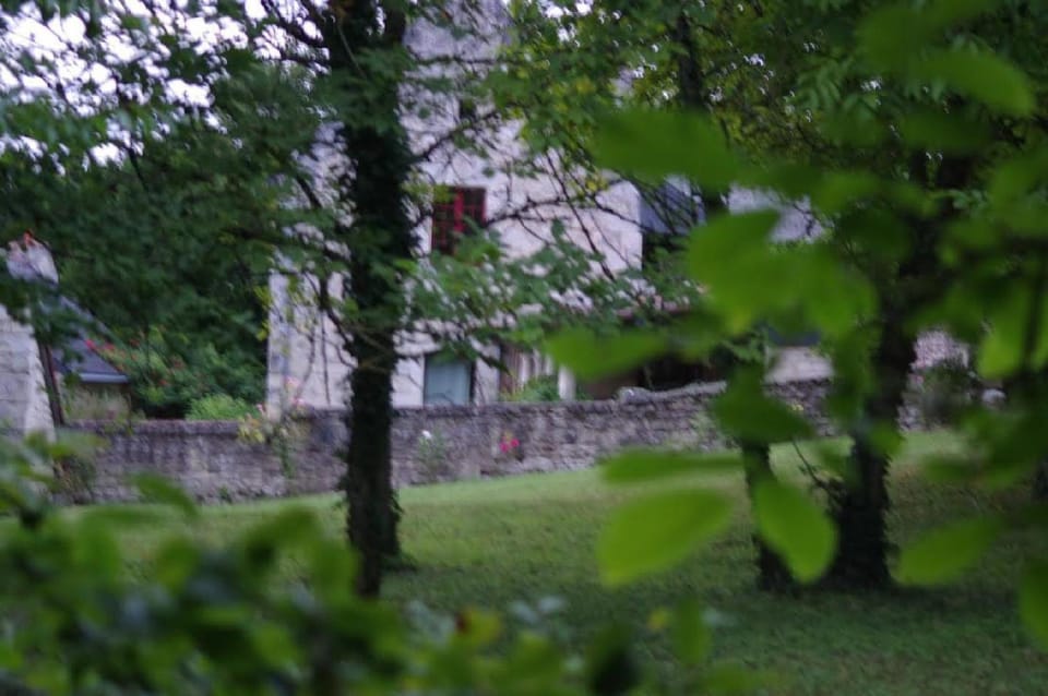 Natural landscape, Garden