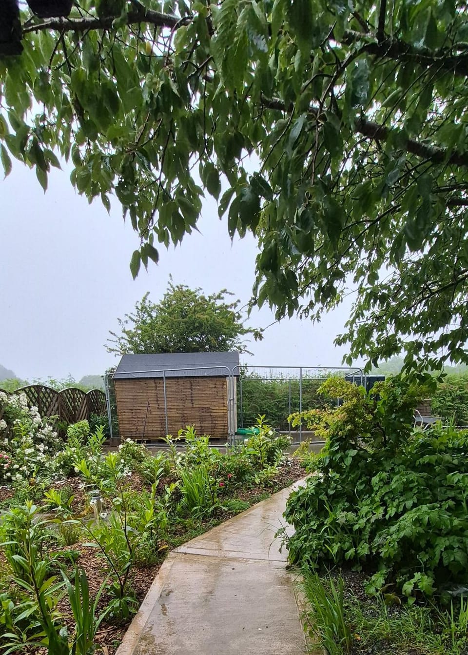 Garden, Garden view