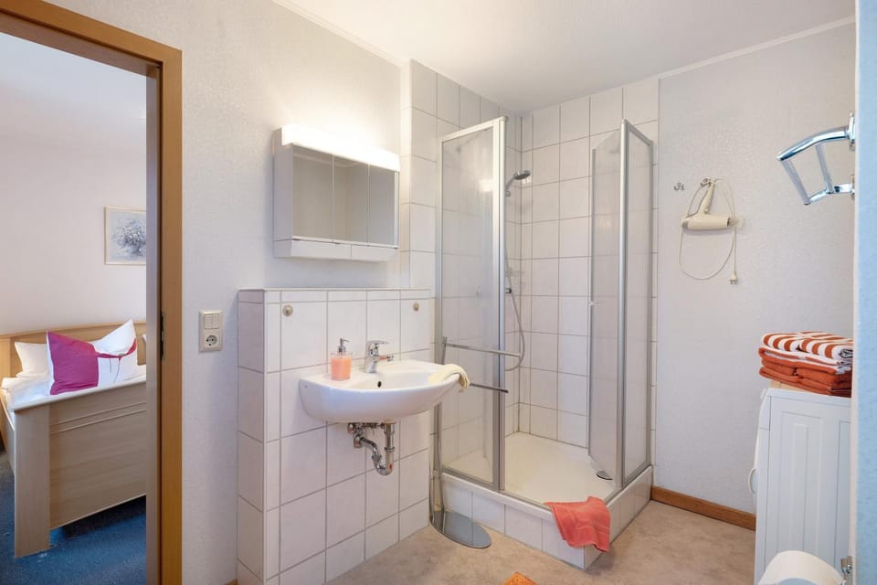 Bathroom, Living room