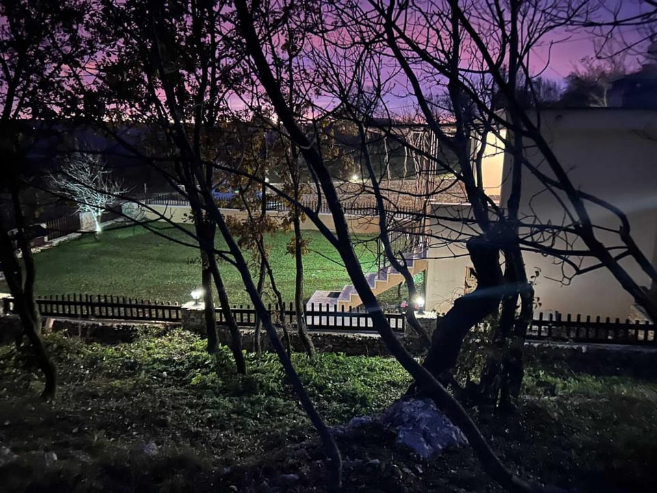 Night, Garden view