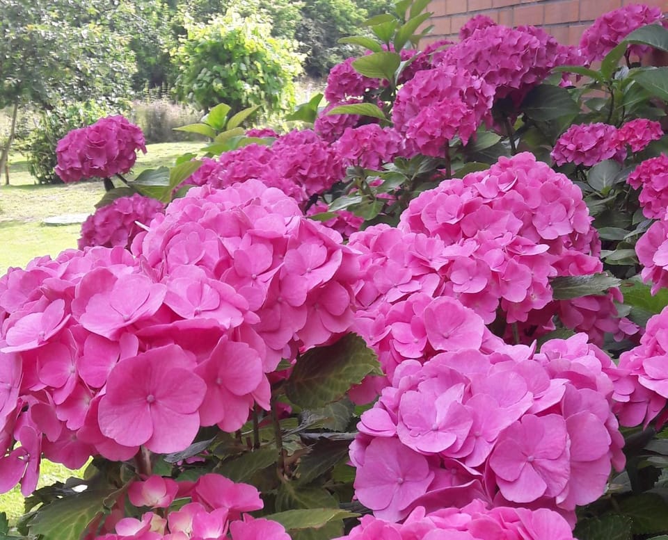 Ferienwohnung Ostsee Appartement Kronacher Apartment in Timmendorfer Strand