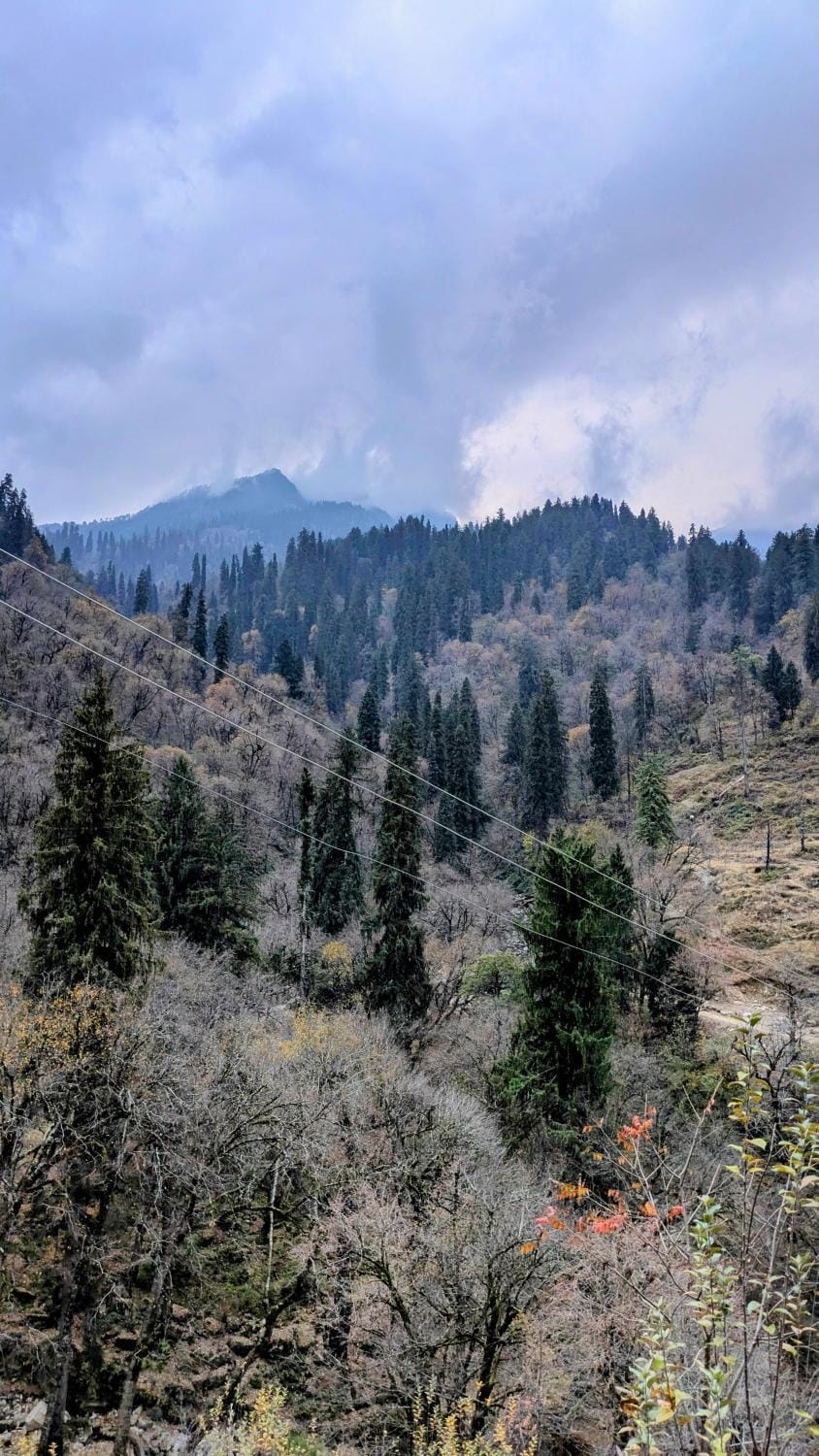 Natural landscape