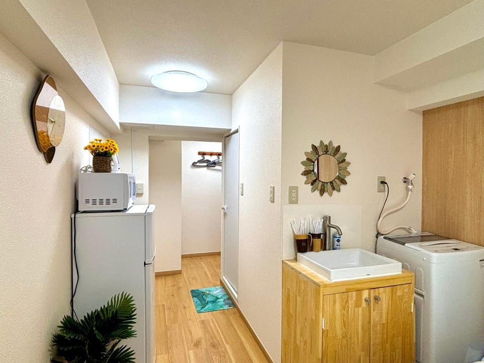 Kitchen or kitchenette, washing machine
