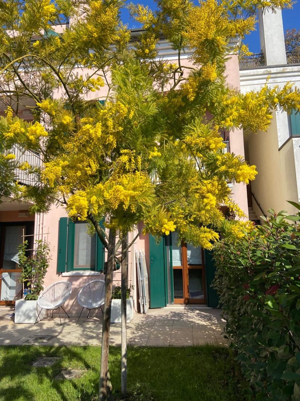 Spring, Garden, Garden view