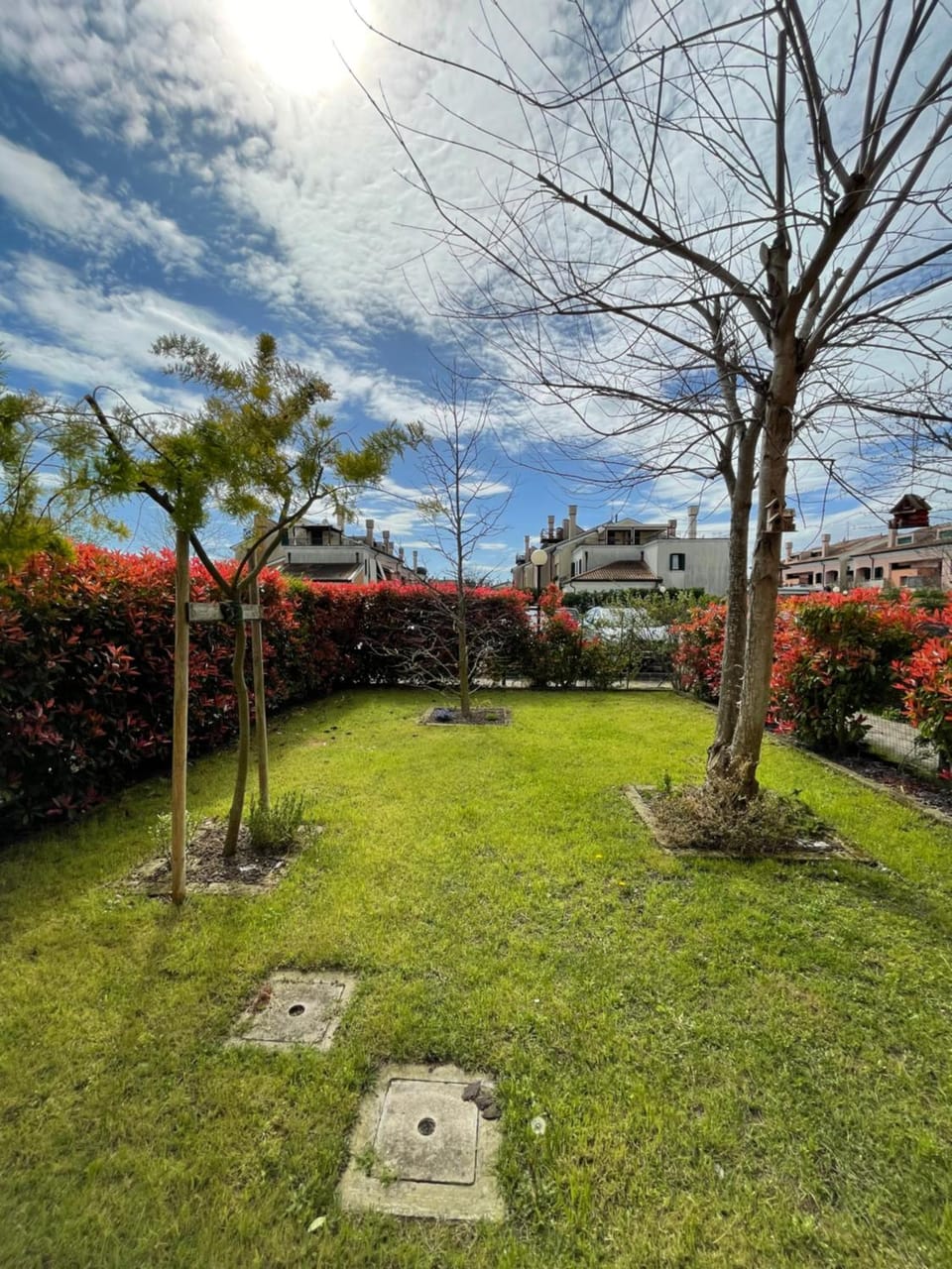 Spring, Day, Natural landscape, Garden, Garden view