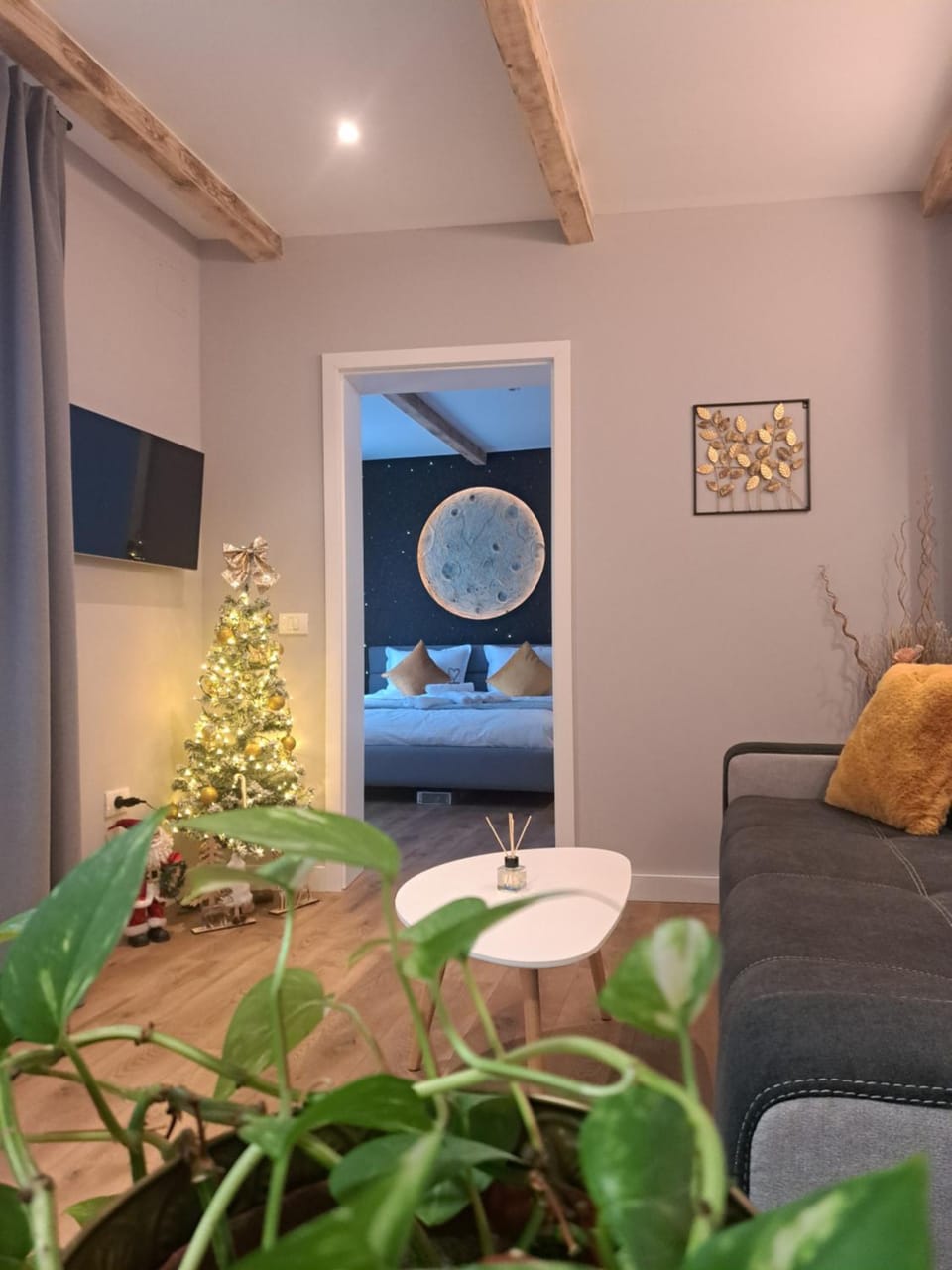 TV and multimedia, Living room