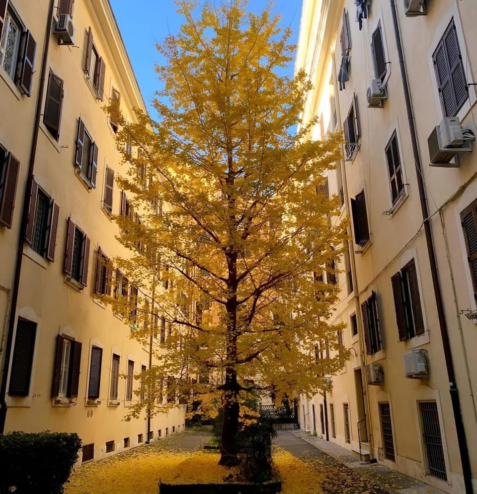 Spring