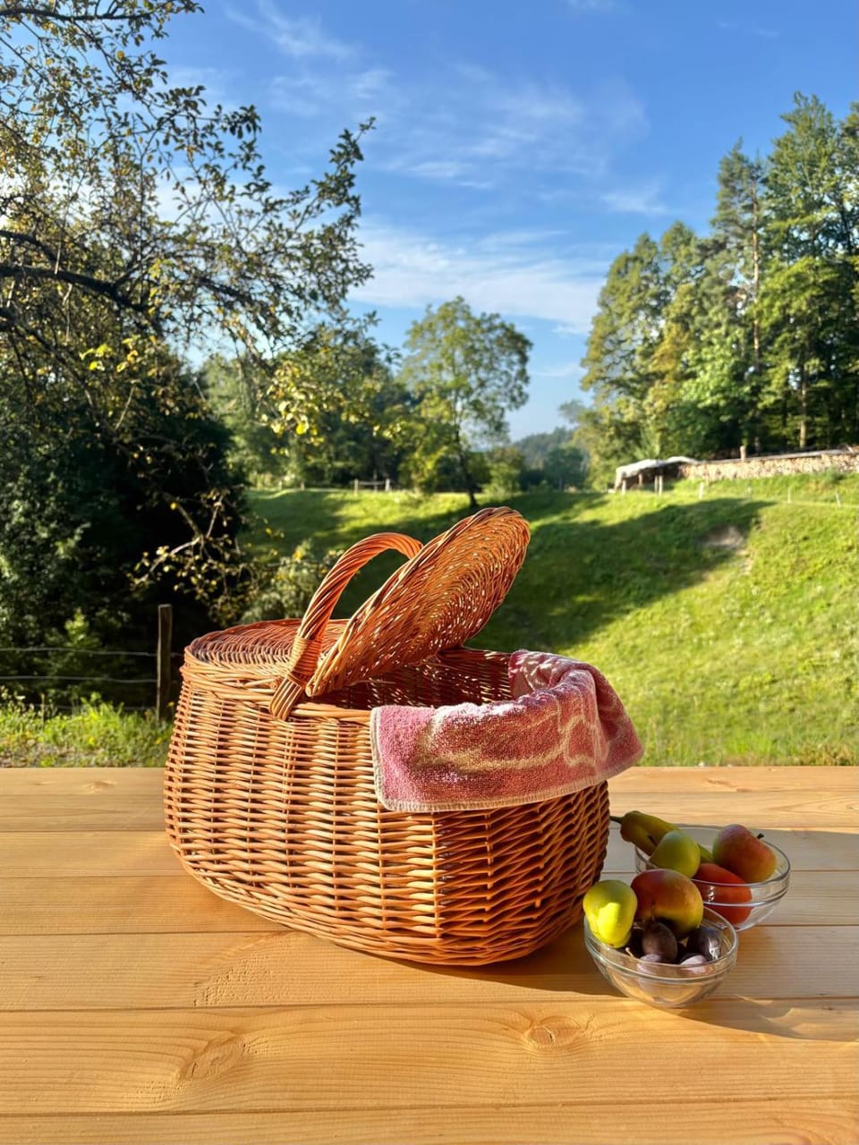 Day, Natural landscape, Garden, Food and drinks, Garden view
