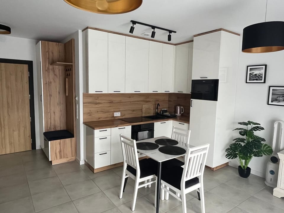 Czarno biały Apartment in Czechia